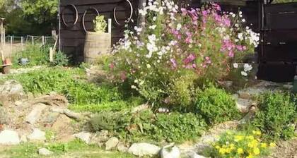 3 Bed-Sleeps 6-Private Garden-Pet Friendly