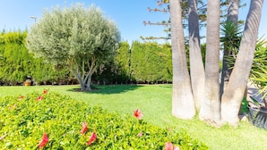 Ein gepflegter Garten mit verschiedenen Bäumen, darunter hohe Palmen und ein großer, dichter Strauch.