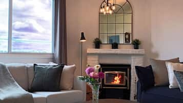 Smart TV, fireplace, DVD player, books