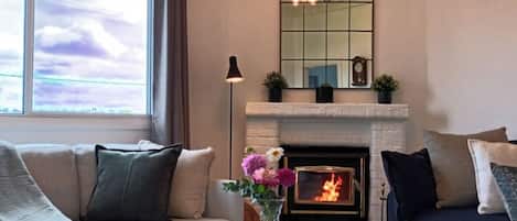 Smart TV, chimenea, reproductor de DVD y libros