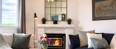 TV connectée, cheminée, lecteur de DVD, livres