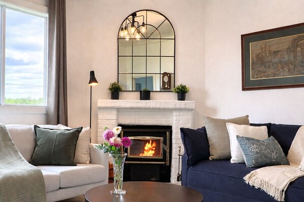 Smart TV, fireplace, DVD player, books