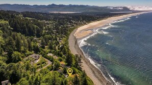 Vista aérea de una zona costera con playa, bosque denso y un pequeño asentamiento.