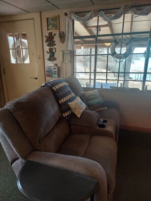 Smart TV, fireplace, books