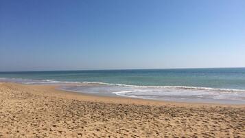 Playa en los alrededores