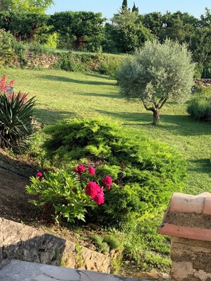 Overnattingsstedets uteområder