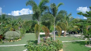 Un jardín ajardinado con palmeras, un sendero de piedra y diversas plantas.