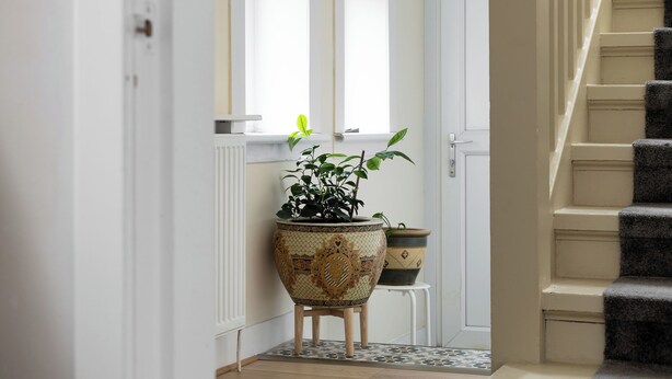 Ein Flur mit einem Blumentopf, einem Heizkörper und einer Treppe.