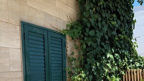 A building with a green door and a wall covered in ivy.