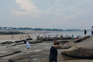Una playa rocosa con gente caminando y de pie, una gran masa de agua al fondo y árboles distantes.
