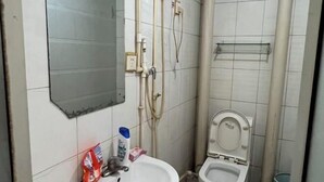 Une salle de bain équipée d’un lavabo, d’un miroir, de toilettes et d’une douche.