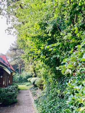 A pathway leading to a building with a red roof, surrounded by dense green foliage.
