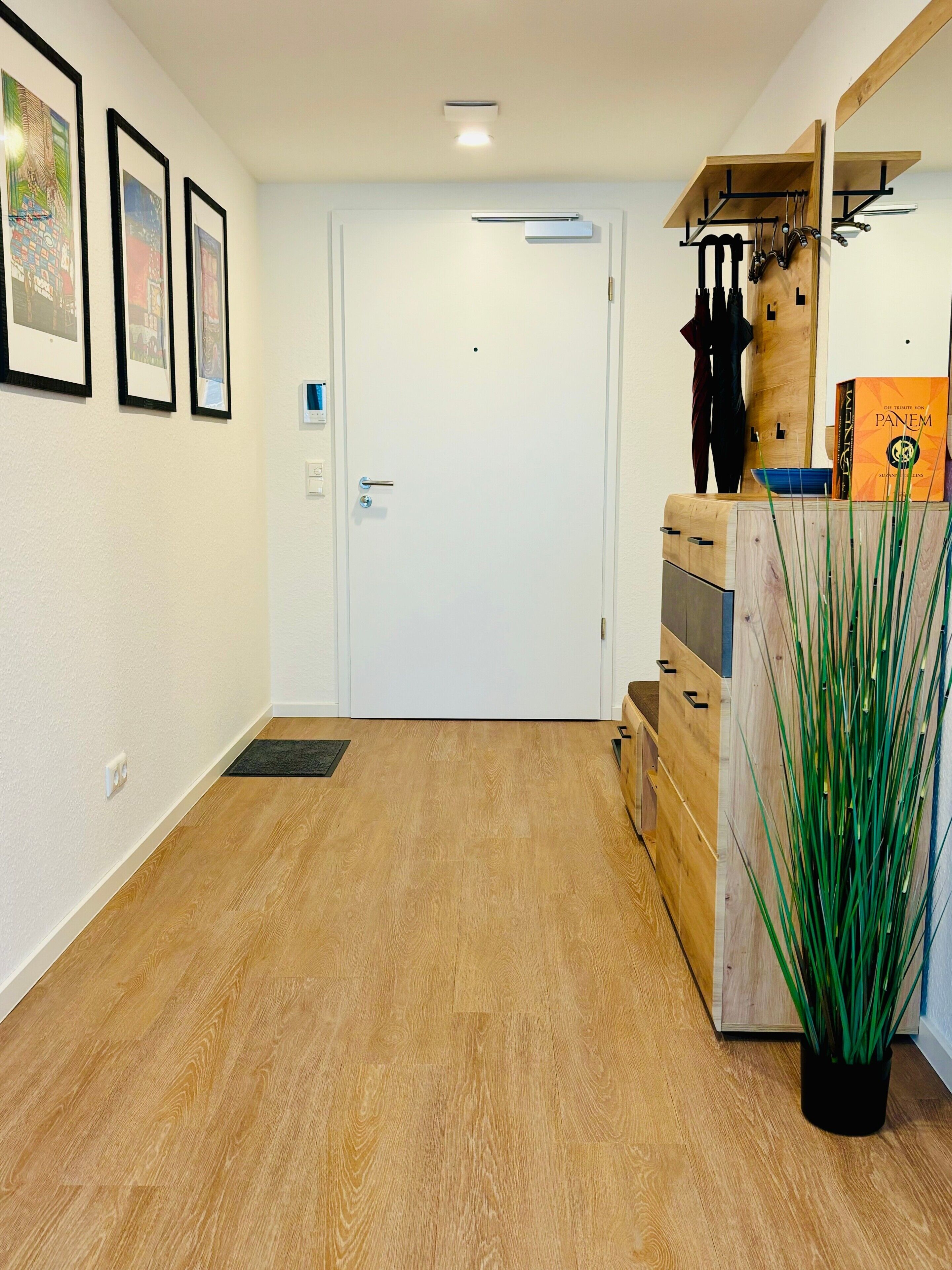 Un couloir avec un plancher en bois, une porte blanche, des tableaux encadrés accrochés au mur et une plante en pot.
