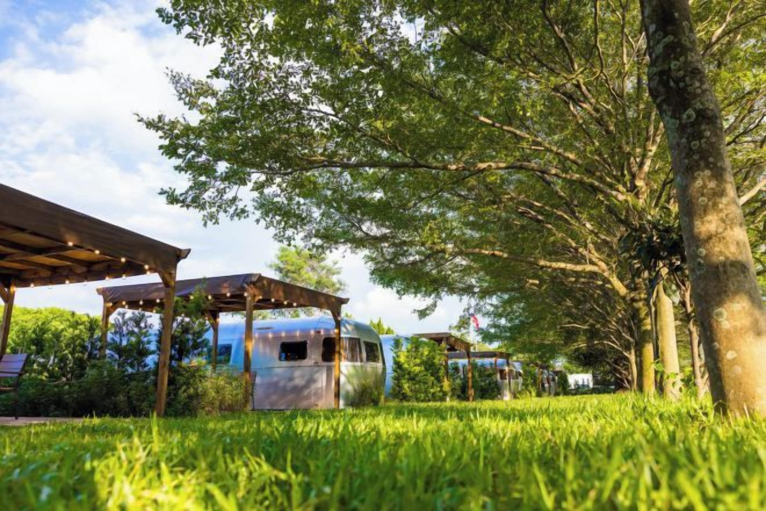 Un espace extérieur abrité, avec un camping-car garé et des arbres.