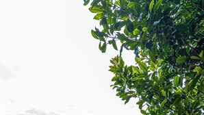 家庭套房, 陽台, 山景 | 書桌、筆電工作空間、遮光布/窗簾、熨斗/熨衣板