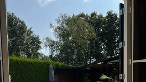 A pool with a tiled deck, a potted plant, and a hedge in the background. - Luxurious country house with whirlpool, sauna and private swimming pool (Schoonloo)