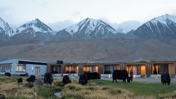 Un edificio moderno con varias habitaciones y un amplio espacio abierto donde pastan vacas.