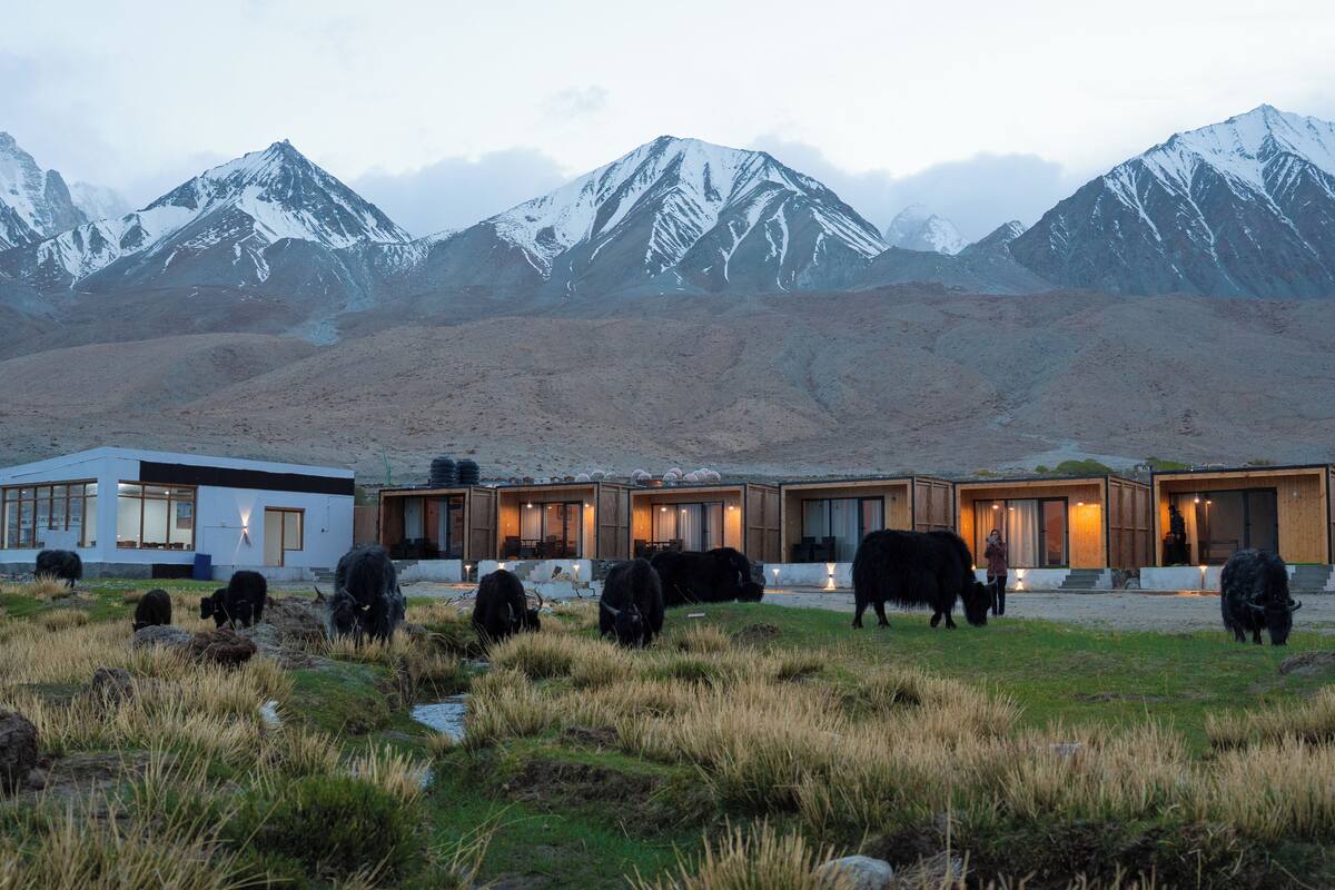 A modern building with multiple rooms and a large open area with cows grazing.