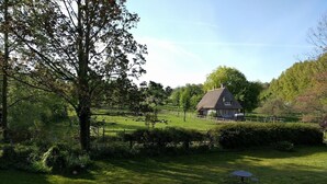 A rural landscape with a thatched-roof house surrounded by a fenced field and trees.