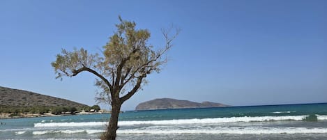 Plage