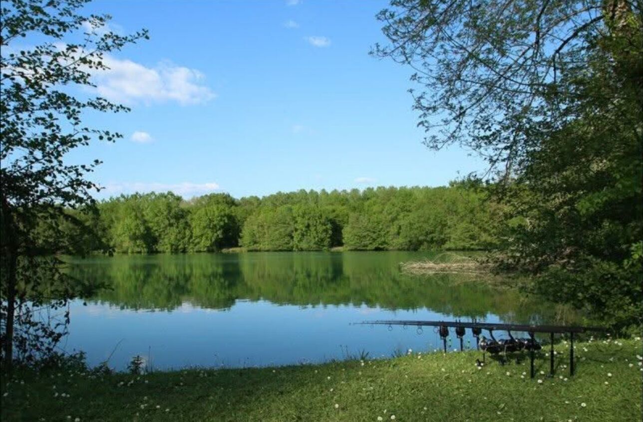 A calm lake surrounded by dense trees, a dock, and a grassy shore.
