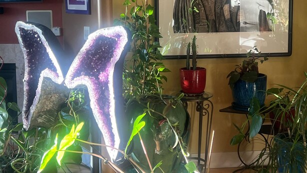 A living room with a large framed artwork, a flat-screen TV, and various potted plants. - Romantic Plant filled studio Beautiful vibes! Spa Services Available (Emeryville)