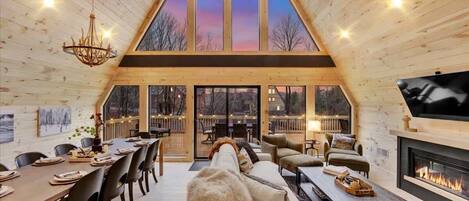 TV, fireplace, books