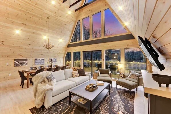 TV, fireplace, books