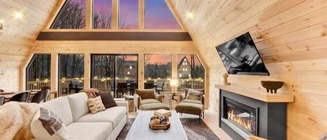 Télévision, cheminée, livres