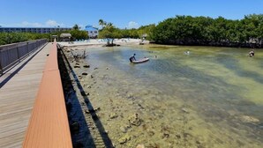 Pasarela de madera que conduce a una zona de aguas poco profundas y transparentes, donde una persona rema en una tabla de paddle surf.