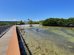 A wooden boardwalk leading to a clear shallow water area with a person paddling a paddleboard. - Ocean View Treehouse Double King Suite 3403 (Tavernier)