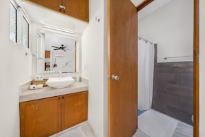 Shower, hair dryer, towels