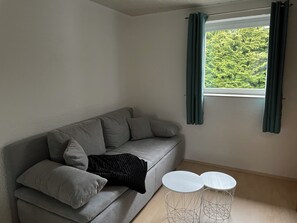 TV, fireplace, books