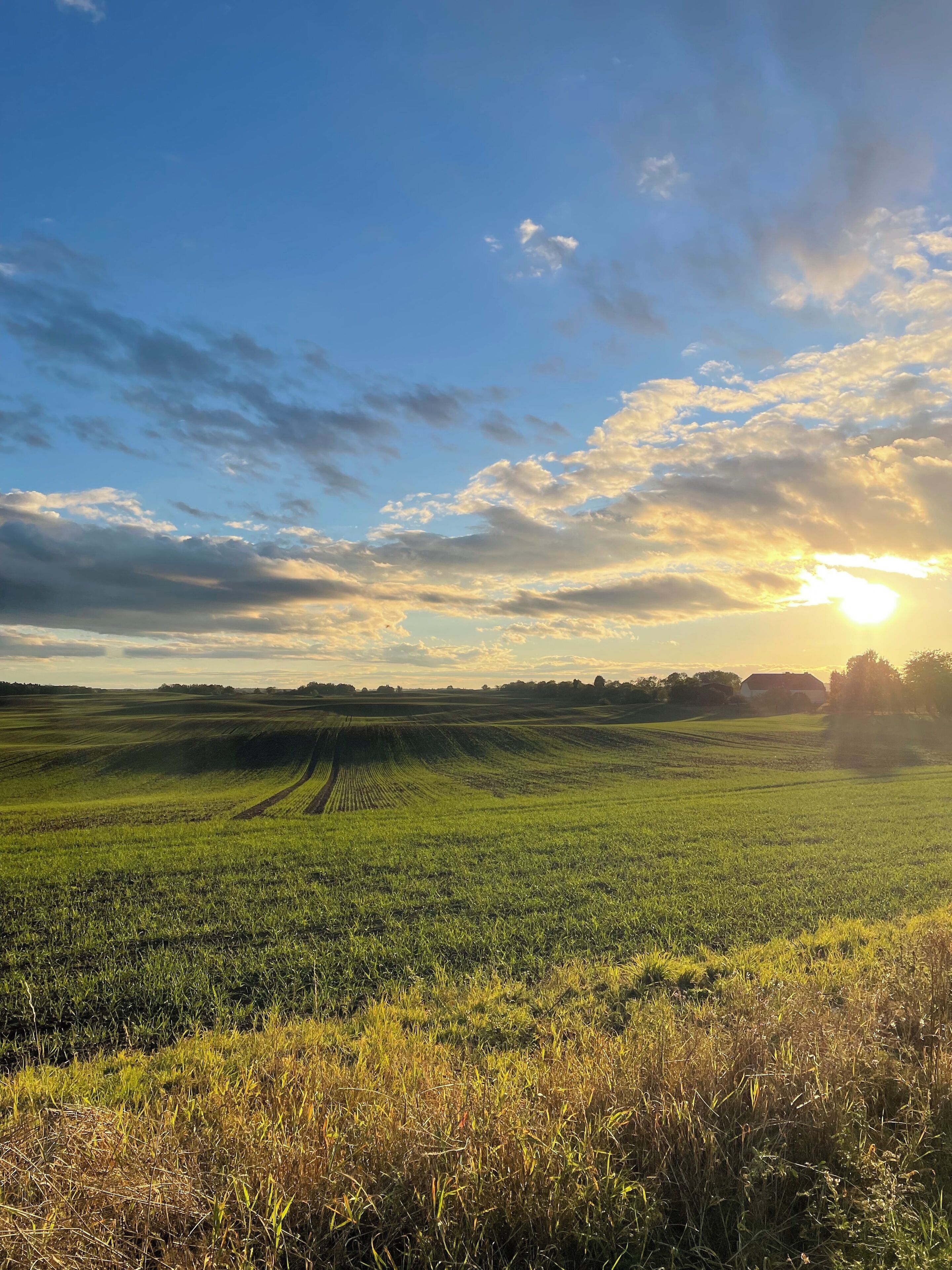 Ein weites Feld, bewölkter Himmel und eine untergehende Sonne in der Ferne.