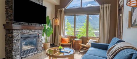 TV, fireplace, offices