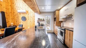 KĂŒhlschrank, Mikrowelle, Ofen, Herdplatte