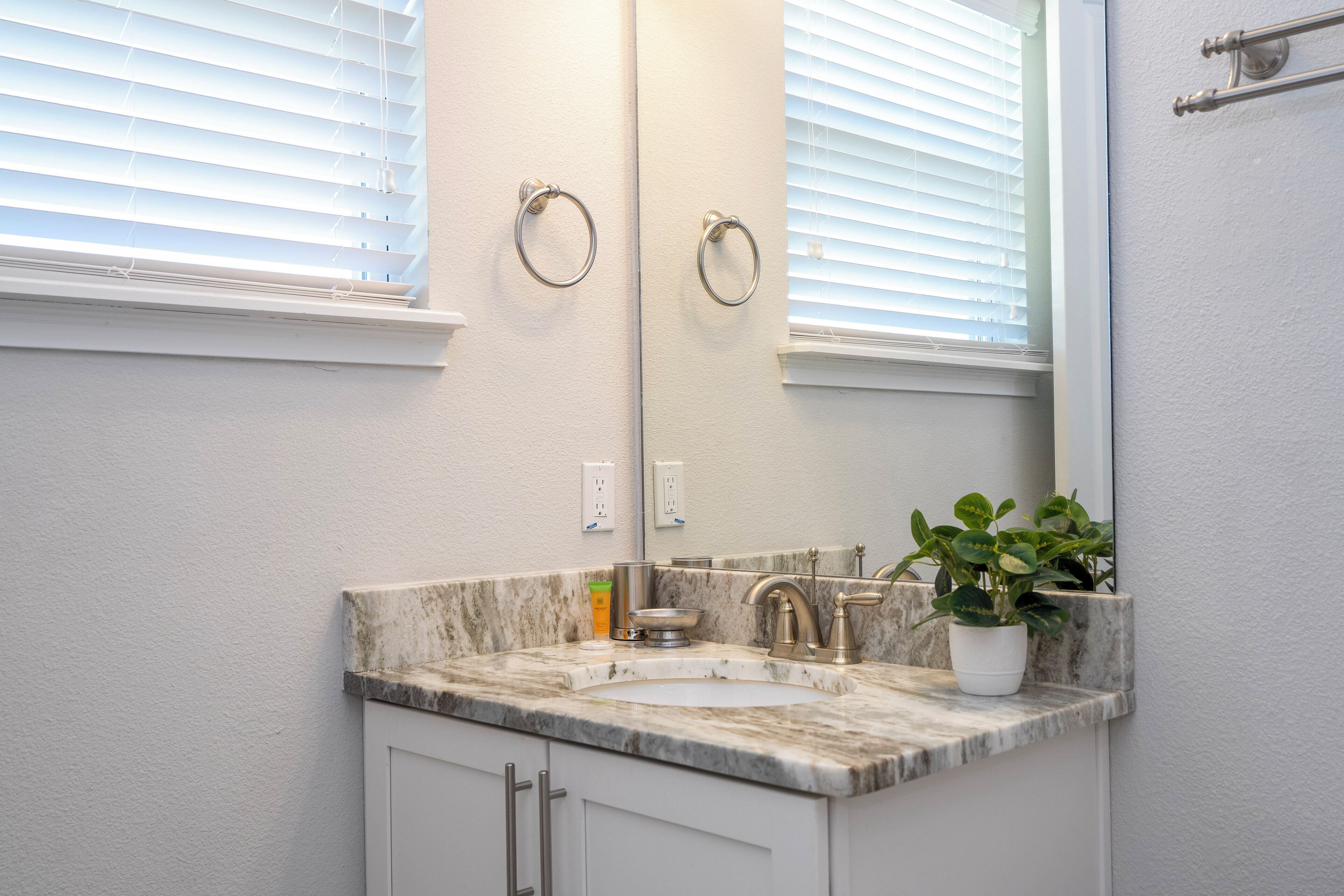 A bathroom with a marble sink, a potted plant, and a large mirror.