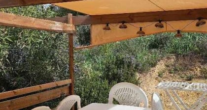 Family chalet in campsite with swimming pool