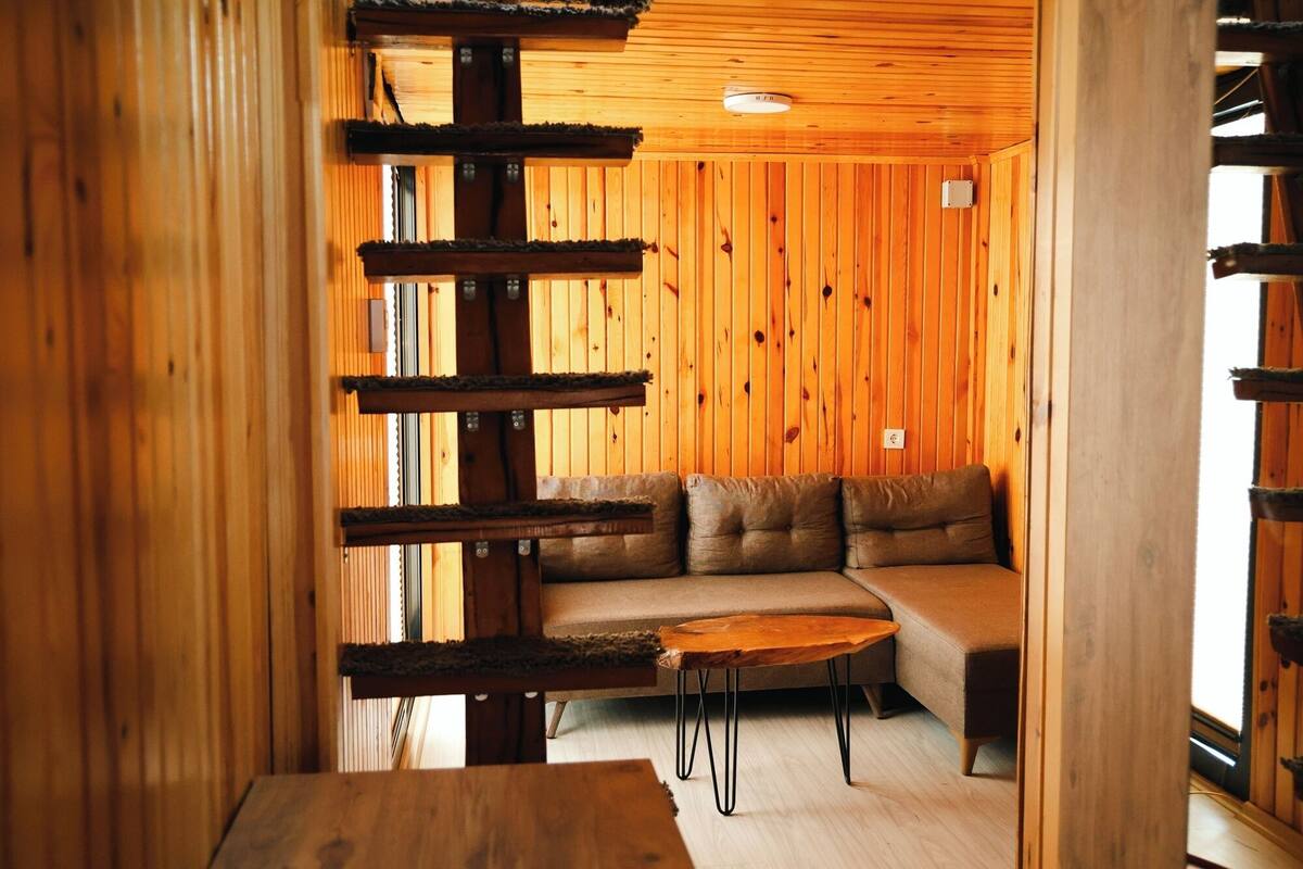 Un interior de madera con un sofá y una mesita.