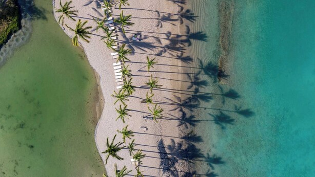 An aerial view of a beach with rows of palm trees and white lounge chairs. - Luxurious Kolea Kai Villa, Private Lanai w/ Ocean Views, Beach Club, Kona Coffee (Waikoloa Village)