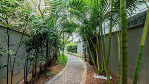 A narrow pathway flanked by bamboo plants and small trees, leading to a building with a grey exterior wall.