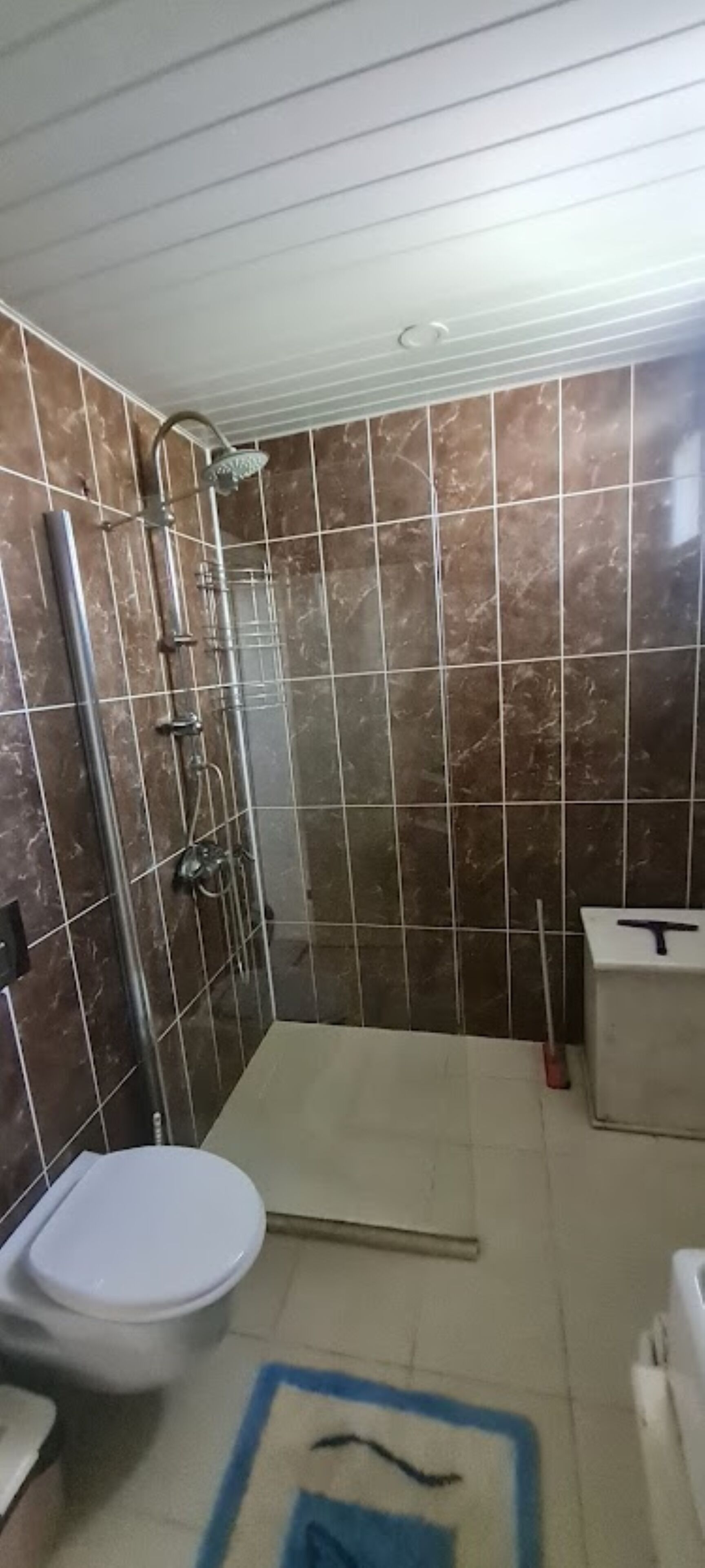 Haartrockner, Handtücher, Seife, Toilettenpapier