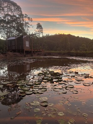 Overnatningsstedets område