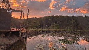 A wooden dock extending into a calm body of water with lily pads, surrounded by a forested area.
