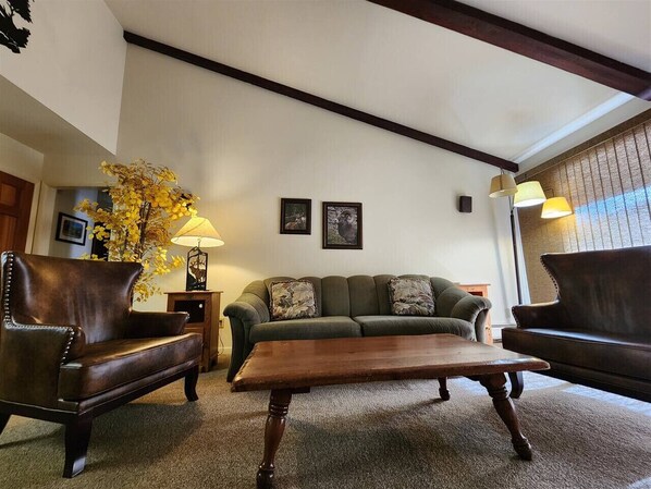 TV, fireplace, DVD player