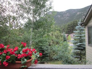 Property grounds - Sweet Bliss- Close to RMNP Entrance with A/C! (Estes Park)