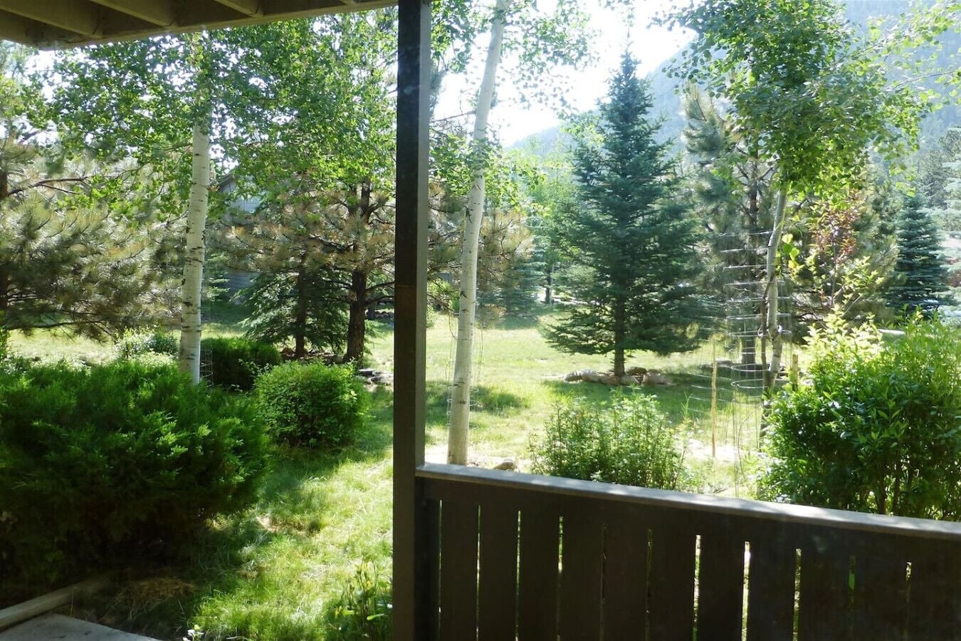 A view from a covered porch overlooking a forested area with a variety of trees and shrubs.