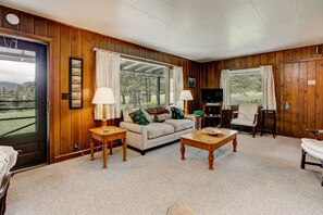 Télévision, cheminée