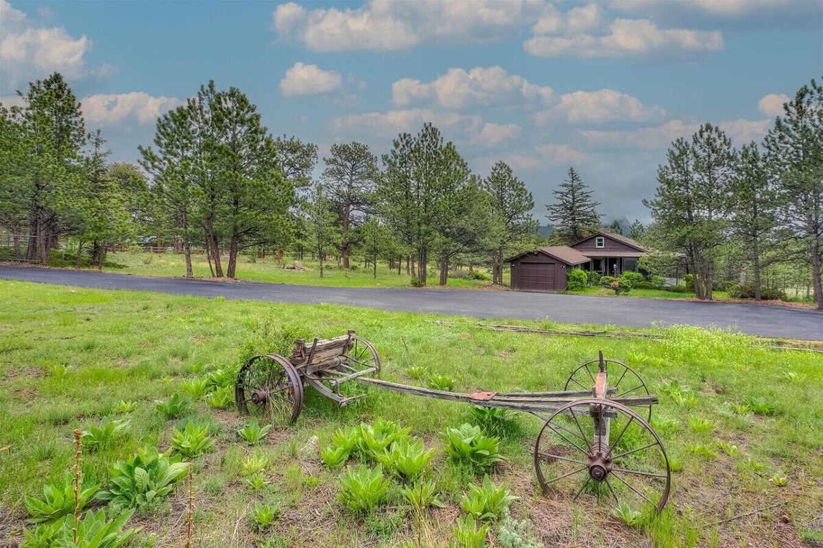 Imagem do perfil do anfitrião