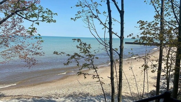 A beach with trees and a wooden fence. - New Buffalo With Hot Tub and Association Beach! (New Buffalo)